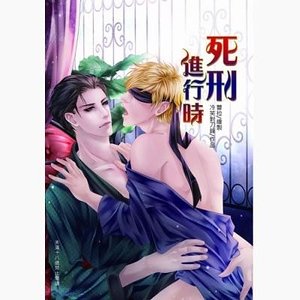死刑进行时(出书版+网络版)