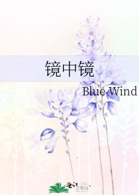 镜中镜