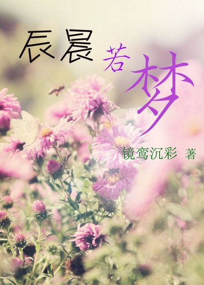 辰晨若梦