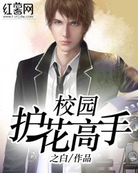 校園護花高手/護美高手混都市